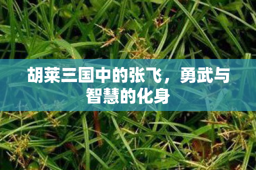 胡莱三国中的张飞,勇武与智慧的化身 胡莱三国中的张飞,勇武与智慧的化身