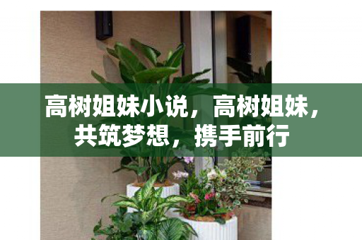 高树姐妹小说，高树姐妹，共筑梦想，携手前行