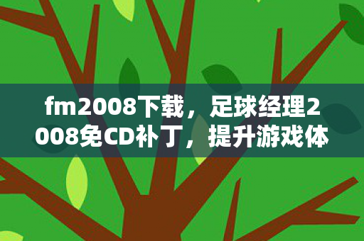 fm2008下载，足球经理2008免CD补丁，提升游戏体验的必备工具