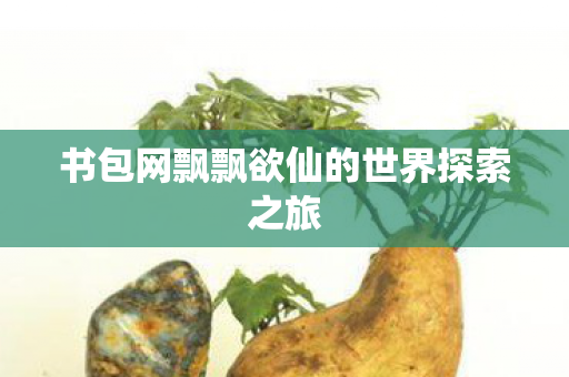 书包网飘飘欲仙的世界探索之旅