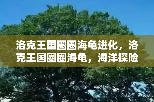 洛克王国圈圈海龟进化，洛克王国圈圈海龟，海洋探险的萌宠伙伴