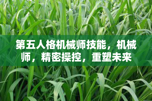 第五人格机械师技能，机械师，精密操控，重塑未来