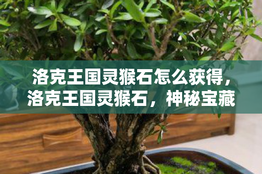 洛克王国灵猴石怎么获得，洛克王国灵猴石，神秘宝藏的揭秘之旅