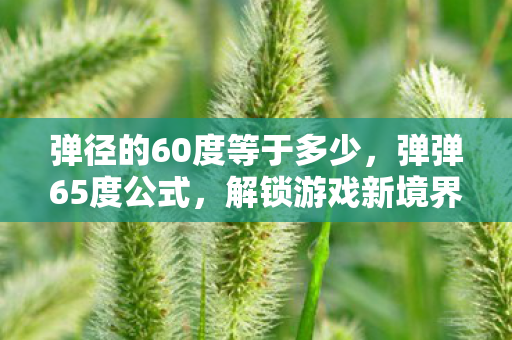 弹径的60度等于多少，弹弹65度公式，解锁游戏新境界的秘钥