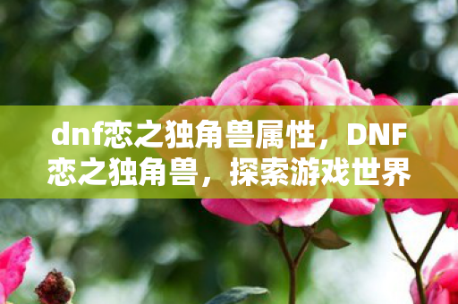 dnf恋之独角兽属性，DNF恋之独角兽，探索游戏世界的浪漫之旅