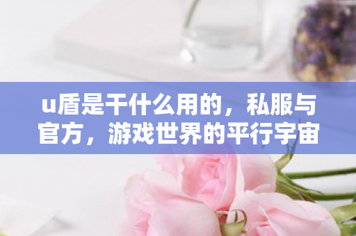 u盾是干什么用的，私服与官方，游戏世界的平行宇宙