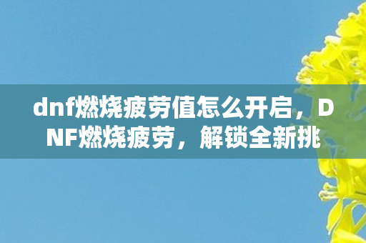 dnf燃烧疲劳值怎么开启，DNF燃烧疲劳，解锁全新挑战，点燃你的冒险激情