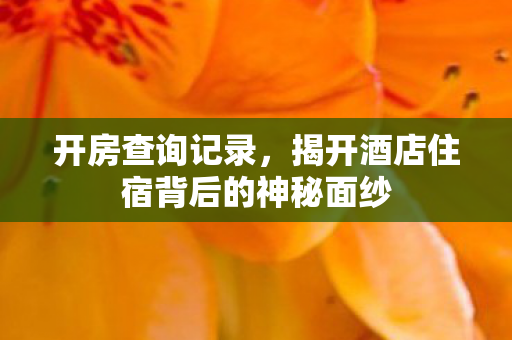 开房查询记录，揭开酒店住宿背后的神秘面纱