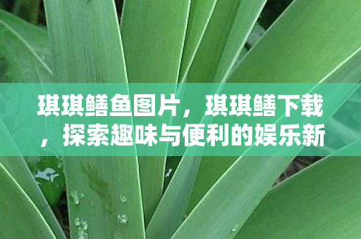 琪琪鳝鱼图片，琪琪鳝下载，探索趣味与便利的娱乐新选择