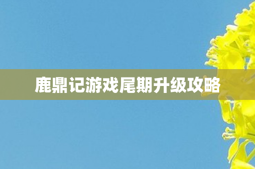 鹿鼎记游戏尾期升级攻略