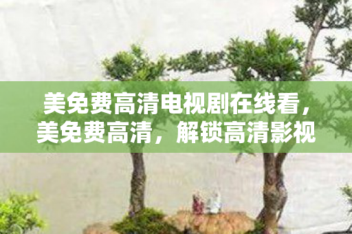 美免费高清电视剧在线看，美免费高清，解锁高清影视的便捷之道