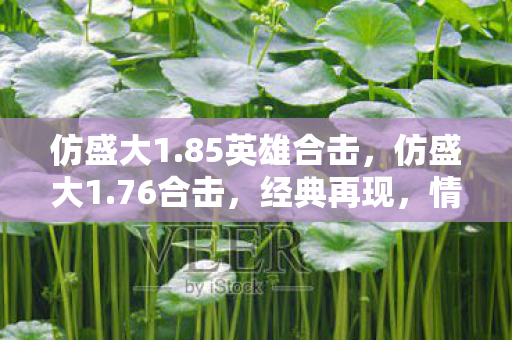 仿盛大1.85英雄合击，仿盛大1.76合击，经典再现，情怀与创新的碰撞