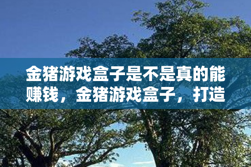 金猪游戏盒子是不是真的能赚钱,金猪游戏盒子,打造个性化游戏体验的优选平台 金猪游戏盒子是不是真的能赚钱,金猪游戏盒子,打造个性化游戏体验的优选平台