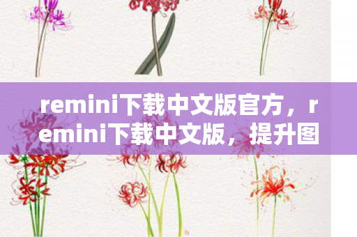 remini下载中文版官方，remini下载中文版，提升图像清晰度的必备工具
