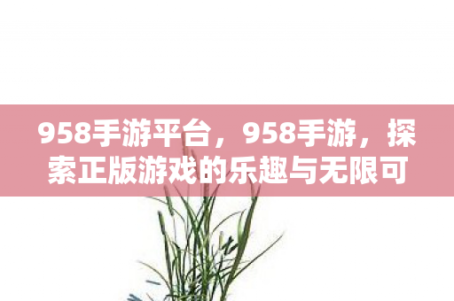 958手游平台，958手游，探索正版游戏的乐趣与无限可能