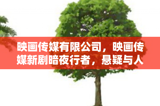 映画传媒有限公司，映画传媒新剧暗夜行者，悬疑与人性交织的视听盛宴