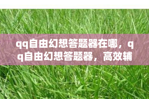 qq自由幻想答题器在哪，qq自由幻想答题器，高效辅助，助你畅游幻想世界