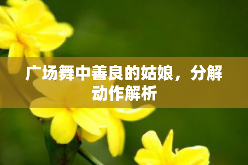 广场舞中善良的姑娘，分解动作解析