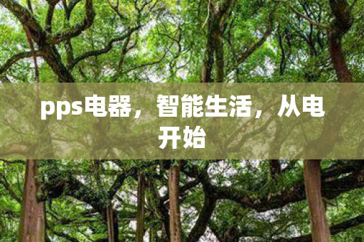 pps电器，智能生活，从电开始