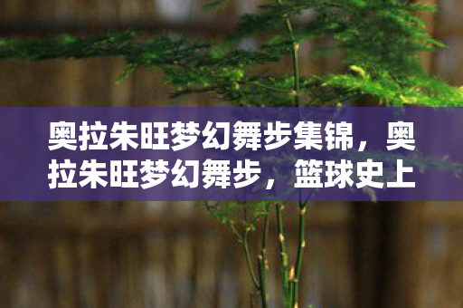 奥拉朱旺梦幻舞步集锦，奥拉朱旺梦幻舞步，篮球史上的不朽传奇