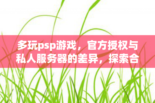 多玩psp游戏，官方授权与私人服务器的差异，探索合法与合规的界限