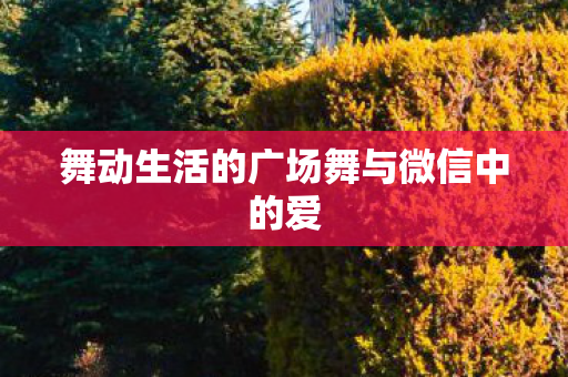 舞动生活的广场舞与微信中的爱