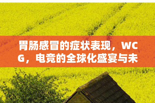 胃肠感冒的症状表现，WCG，电竞的全球化盛宴与未来展望