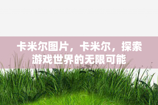 卡米尔图片，卡米尔，探索游戏世界的无限可能