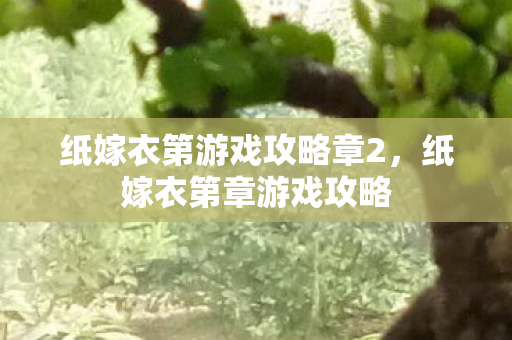 纸嫁衣第游戏攻略章2，纸嫁衣第章游戏攻略
