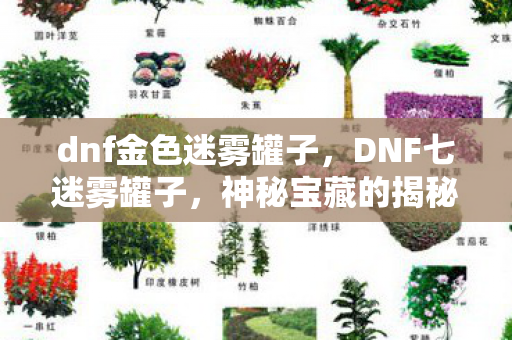 dnf金色迷雾罐子，DNF七迷雾罐子，神秘宝藏的揭秘与探索