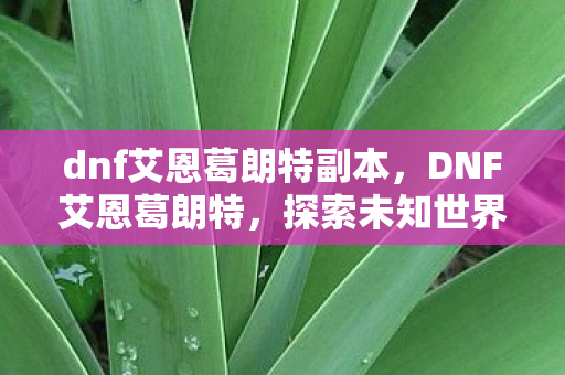 dnf艾恩葛朗特副本，DNF艾恩葛朗特，探索未知世界的奇幻之旅