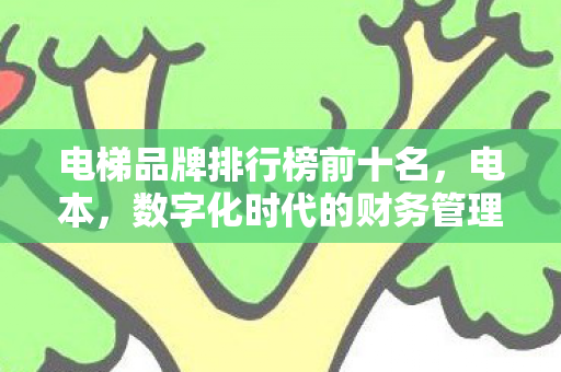 电梯品牌排行榜前十名，电本，数字化时代的财务管理新篇章