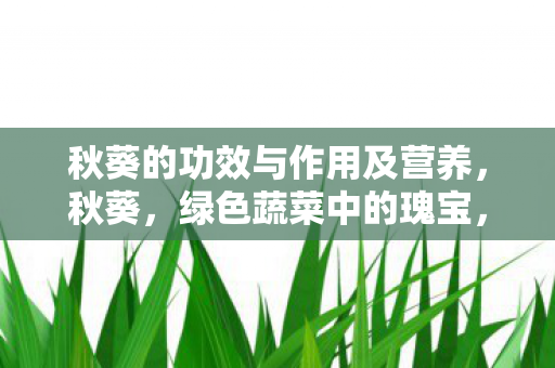 秋葵的功效与作用及营养，秋葵，绿色蔬菜中的瑰宝，营养与美味的双重享受