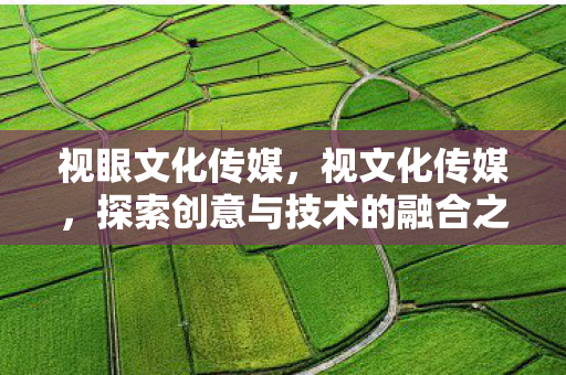 视眼文化传媒，视文化传媒，探索创意与技术的融合之道