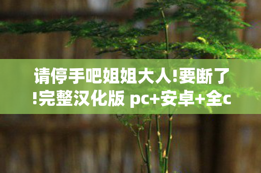 请停手吧姐姐大人!要断了!完整汉化版 pc+安卓+全cg，游戏世界里的温柔劝诫，请停手吧，姐姐大人要断了游戏
