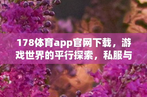 178体育app官网下载，游戏世界的平行探索，私服与官方服务器的独特魅力