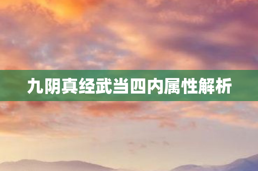九阴真经武当四内属性解析