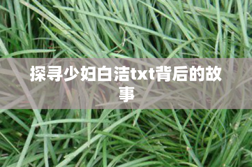 探寻少妇白洁txt背后的故事