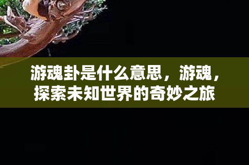 游魂卦是什么意思，游魂，探索未知世界的奇妙之旅