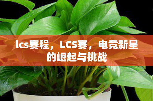 lcs赛程，LCS赛，电竞新星的崛起与挑战