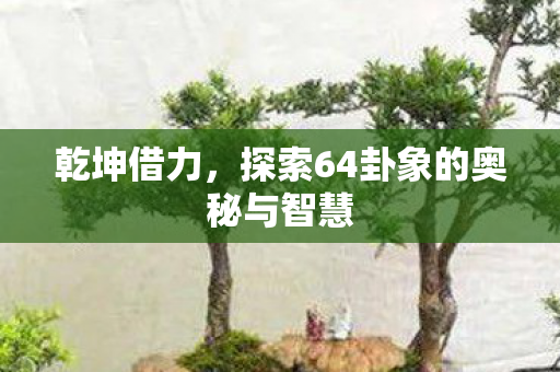 乾坤借力，探索64卦象的奥秘与智慧
