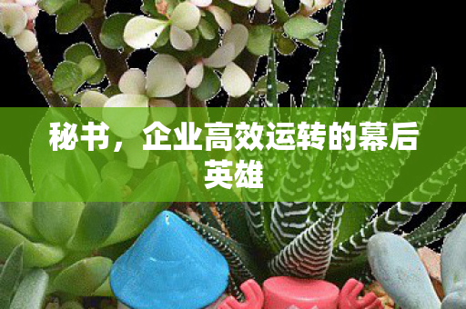 秘书，企业高效运转的幕后英雄