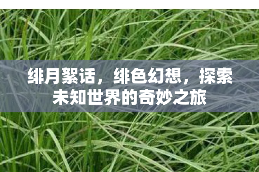 绯月絮话，绯色幻想，探索未知世界的奇妙之旅