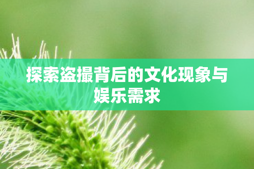 探索盗撮背后的文化现象与娱乐需求