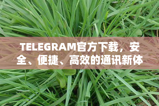 TELEGRAM官方下载，安全、便捷、高效的通讯新体验