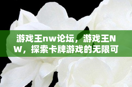 游戏王nw论坛，游戏王NW，探索卡牌游戏的无限可能