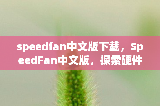 speedfan中文版下载，SpeedFan中文版，探索硬件监控与风扇控制的强大工具
