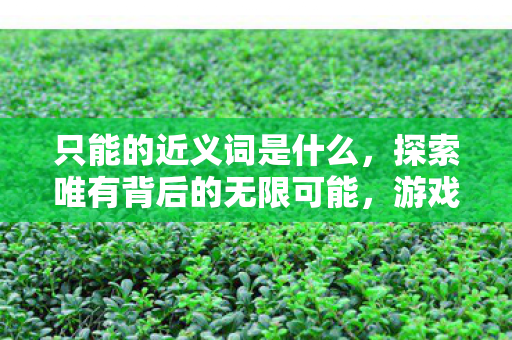 只能的近义词是什么，探索唯有背后的无限可能，游戏私服的独特魅力与合规运营