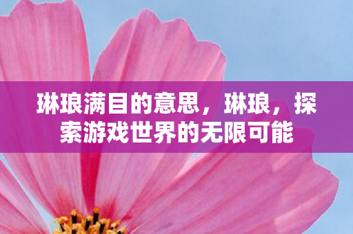 琳琅满目的意思，琳琅，探索游戏世界的无限可能