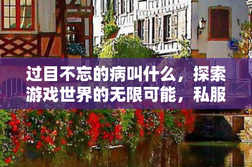 过目不忘的病叫什么,探索游戏世界的无限可能,私服与官方服务器的独特魅力 过目不忘的病叫什么,探索游戏世界的无限可能,私服与官方服务器的独特魅力